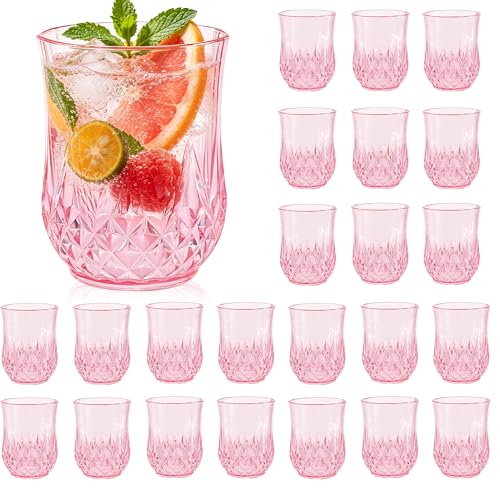 24 Pack Plastic Stemless Wine Glasses (24 Count)