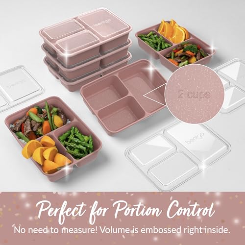 Prep - 20-Piece 3-Compartment Reusable Meal Prep Containers with Lids, PFAS & BPA Free Materials, Durable, Microwave, Freezer, & Dishwasher Safe To Go Food Storage (Rosette Glitter) (20 Count)