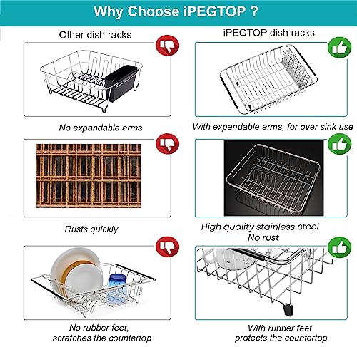 Expandable Dish Drying Rack Organizer and Utensil Cutlery Holder