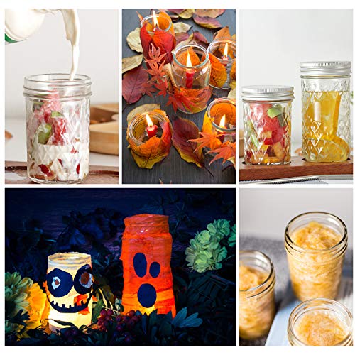 Mason Jars Variety Pack