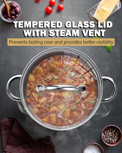 Basics 5.5 Quart Stainless Steel Stock Pot with Lid