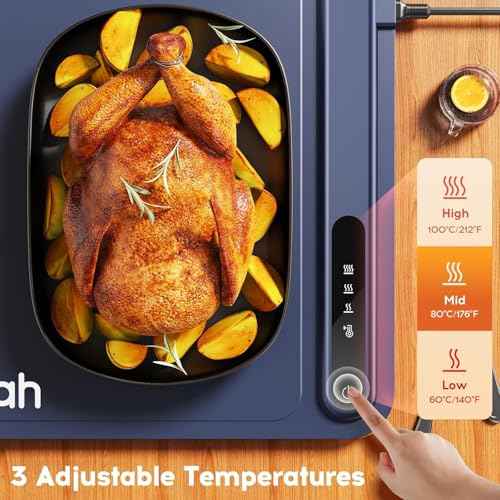 Warming Mat for Food