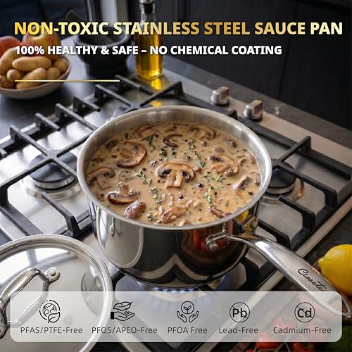 3 Qt Saucepan with Lid