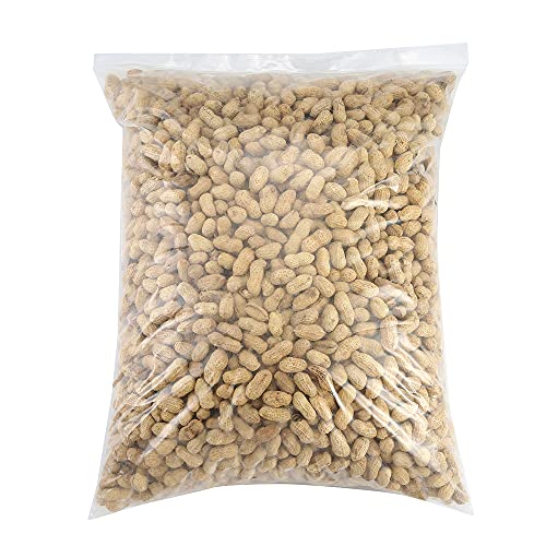 30Pcs 13"x15" Thick 3Mil Large Clear Reclosable Zip Seal Lock Plastic Bags (30 Count)