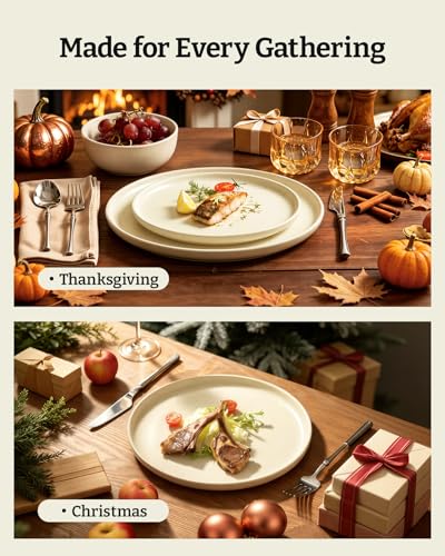 Milkyway 12 Piece Stoneware Dinnerware Set