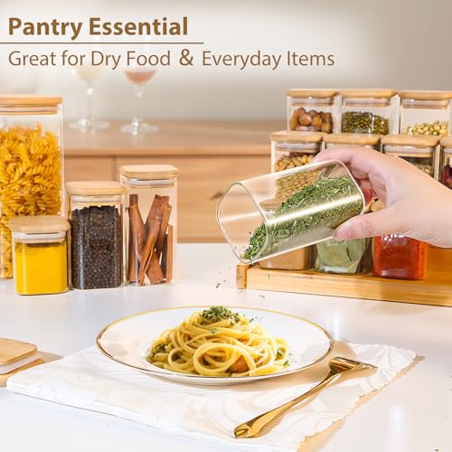 12 Pack 8 oz Square Glass Spice Jars with Lids and Labels (12 Count)
