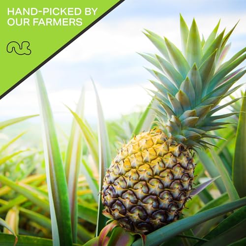 Dried Pineapple Chunks (16 Ounce)