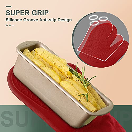 Silicone Oven Mitts