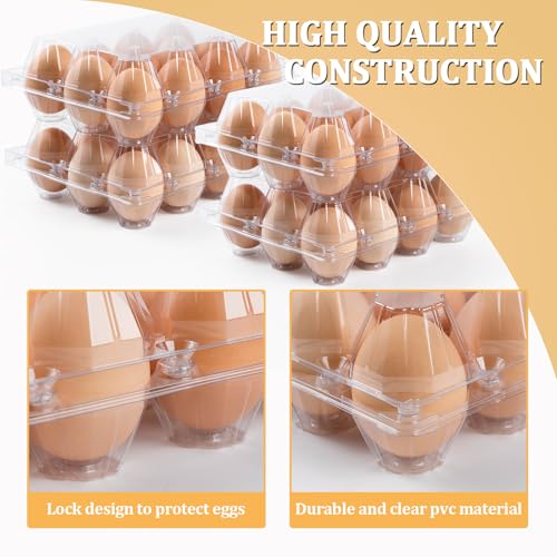 120 Pack Egg Cartons 12 Count (120 Count)