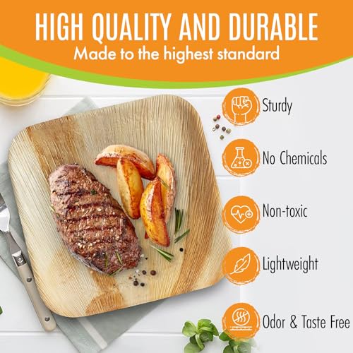 Raj Bamboo Disposable Heavy Duty 6" Square Plates 300 Pack (300 Count)