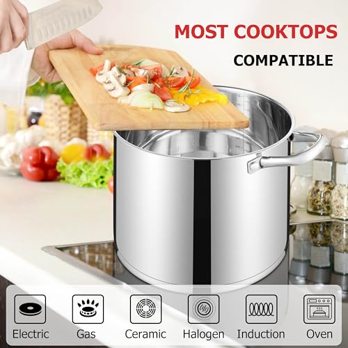 12 QT Stock Pot with Lid