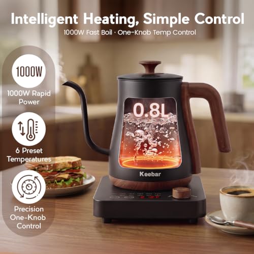 Gooseneck Electric Kettle