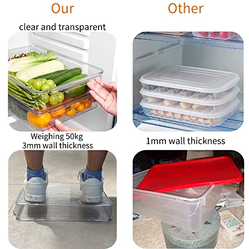 2 Pack Deli Meat Container for Fridge (2 Count)