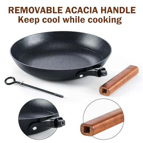 Cast Iron 12 Inch Nonstick Skillets