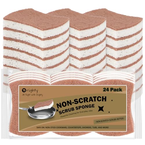 Non Scratch Scrub Sponge (24 Count)