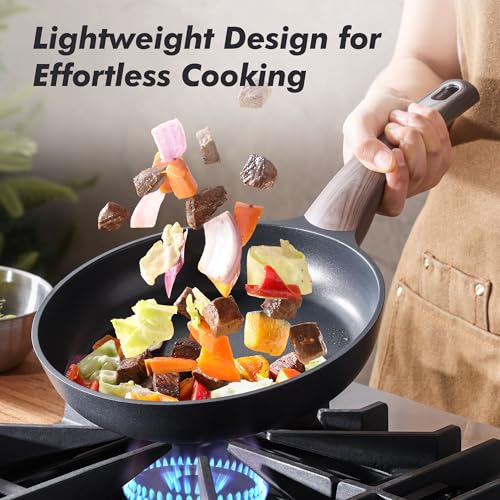 9.5Inch Nonstick Frying Pan Paella Pan