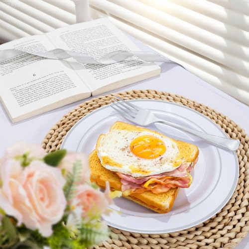 100PCS Silver Plastic Plates (100 Count)