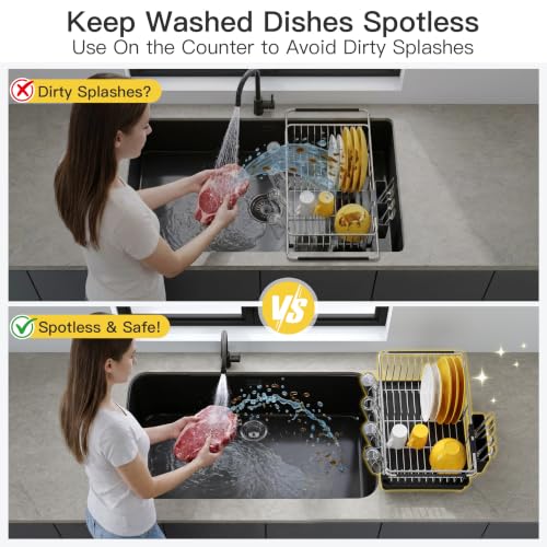 in Sink Dish Drying Rack with Drainboard and Utensil Holder