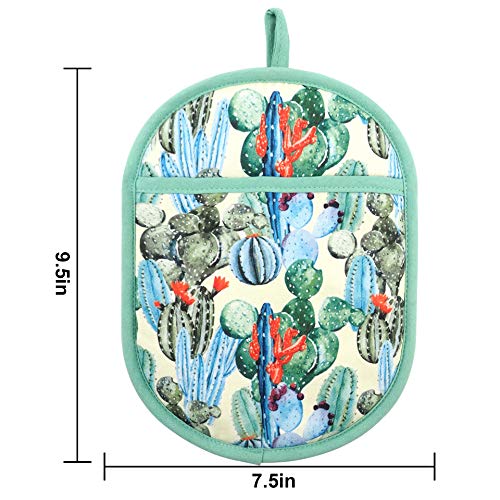 Pot Holders with Transparent Clear Silicone Shell and Nice Cactus Flower (2 Count)