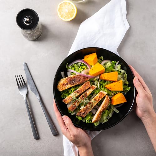 9.75'' Large Ceramic Pasta Bowls (6 Count)