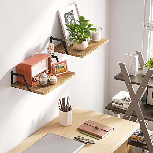 Carbonized Black Deep Floating Shelves (2 Count)