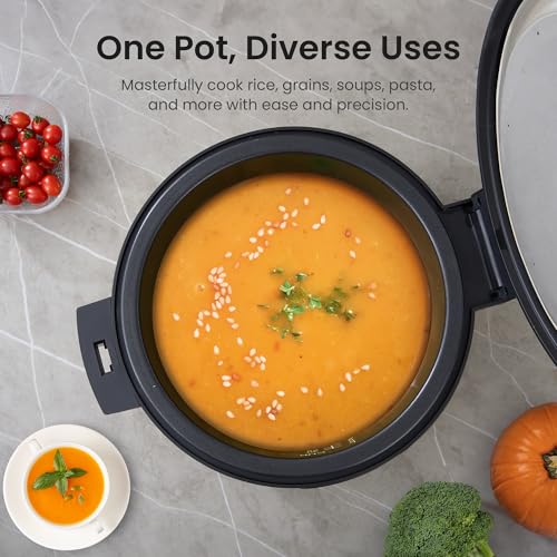 Commercial Rice Cooker and Warmer (30 Count)
