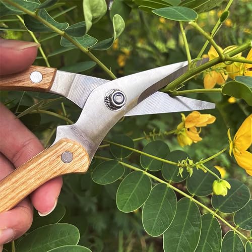 Wood Handle Garden Shears