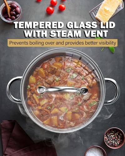 Basics 16 Quart Stainless Steel Stock Pot with Lid