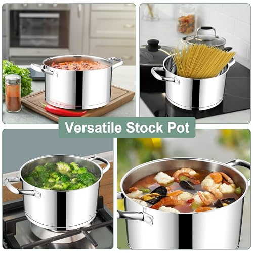 Stainless Steel Stock Pot
