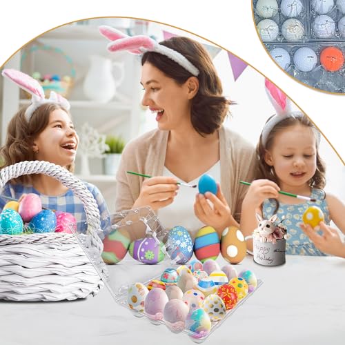 50 Pack Bulk Egg Cartons (50 Count)