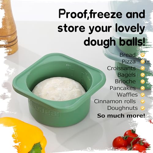500ml Individual Dough Storage Vessels with Airtight Lid (2 Count)