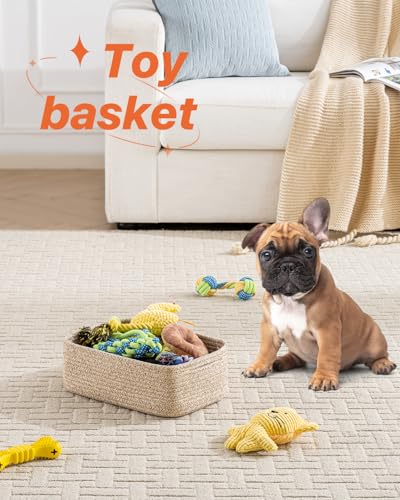 Small Woven Storage Basket for Organizing (3 Count)