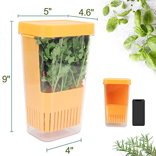 Fresh Herb Keeper for Refrigerator