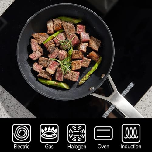 9.5 Inch Nonstick Frying pan with Lid