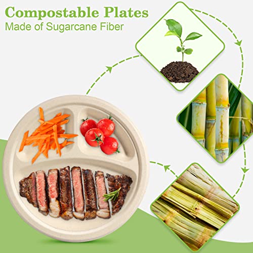 9 Inch Compartment Paper Plates (50 Count)