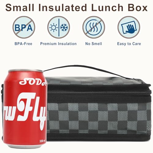 Small Insulated Lunch box Portable Soft Bag Mini Cooler Thermal Meal Tote Kit with Handle for Work
