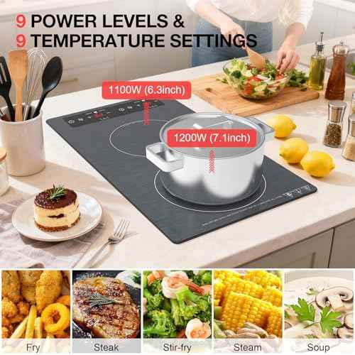 Double Induction Cooktop 110v