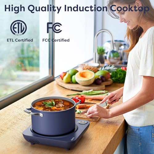 CATIH1A M Portable Induction Cooktop