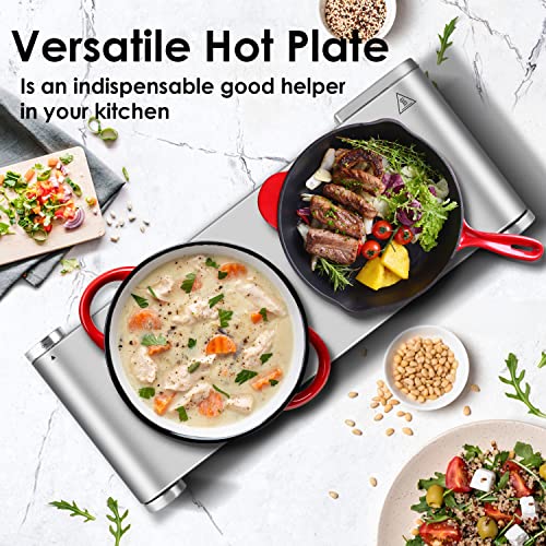 Hot Plate Electric Double Burner