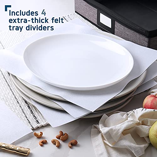 Platter Storage Cases