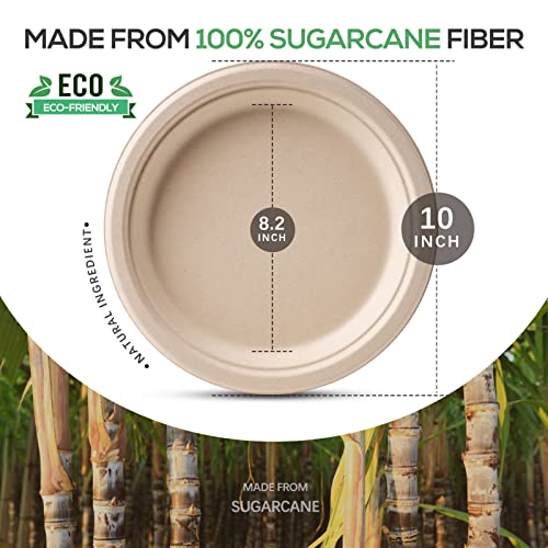 100% Compostable Plates 10 Inch 125 Pack Paper Plates Heavy (125 Count)