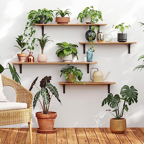 Long Wall Shelves (2 Count)