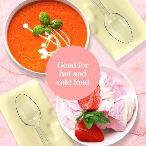 300 Plastic Spoons Bulk (300 Count)