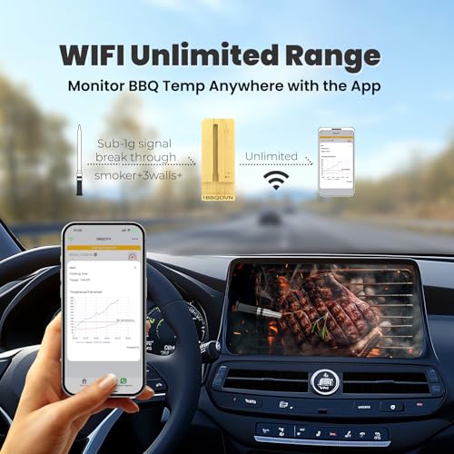 WiFi Sub 1G Wireless Meat Thermometer Unlimited Range