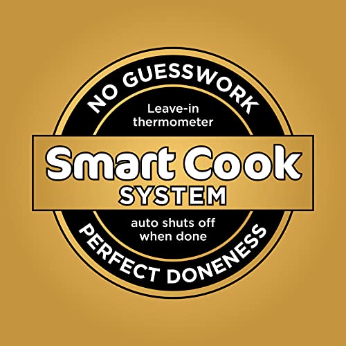DoubleStack XL Smart Air Fryer (10 1)