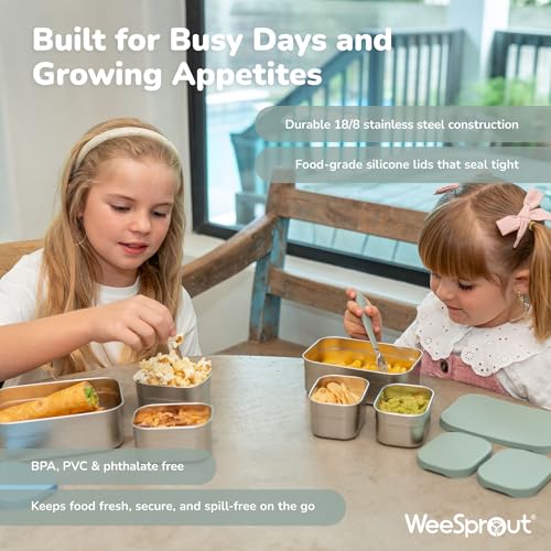 Stainless Steel Lunch Box Set