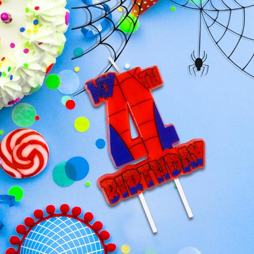 Spider Birthday Party Decorations