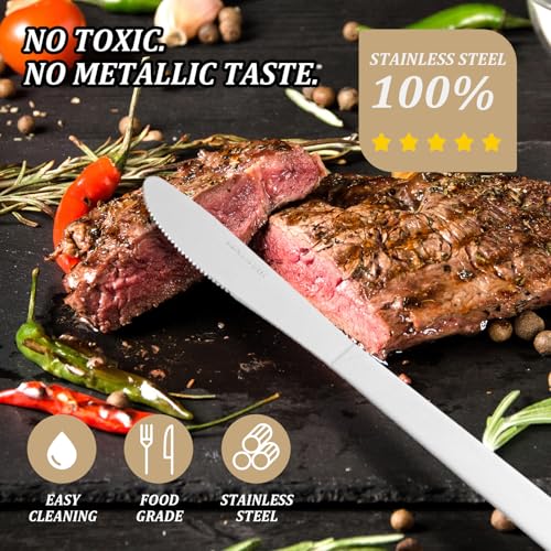 72 PCS Dinner Knifes Set (72 Count)