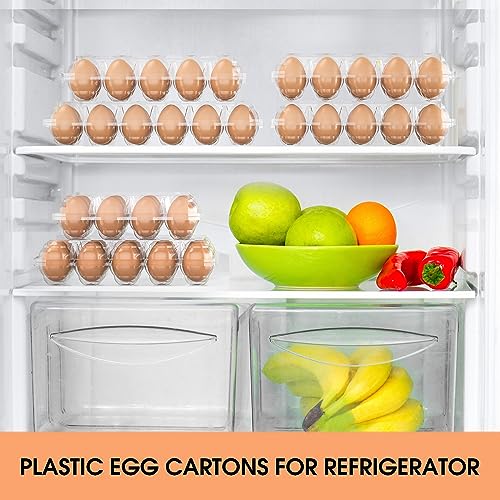 Egg Cartons Cheap Bulk 100 Pack (100 Count)