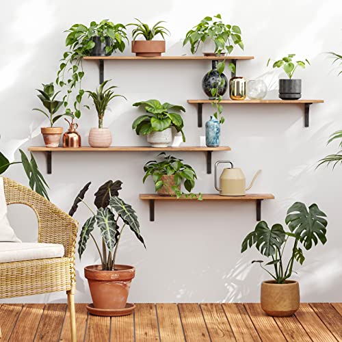 Long Wall Shelves (2 Count)